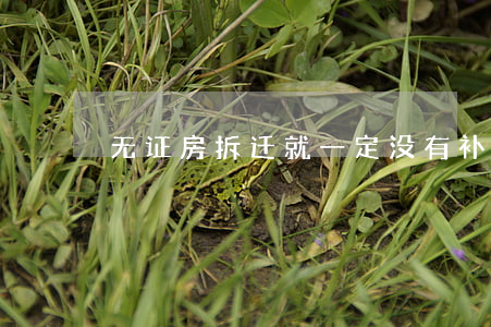 无证房拆迁就一定没有补偿吗