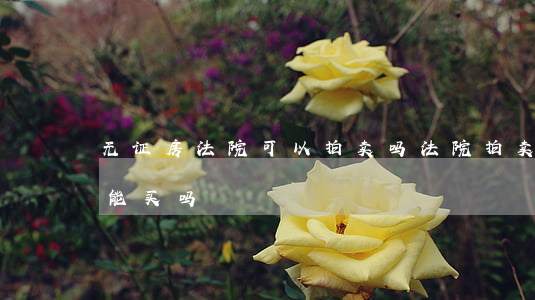 无证房法院可以拍卖吗(法院拍卖的无证房子能买吗)