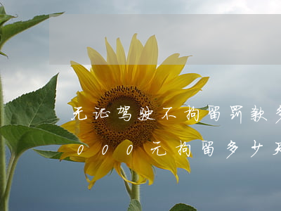 无证驾驶不拘留罚款多少钱(无证驾驶罚款2000元拘留多少天)