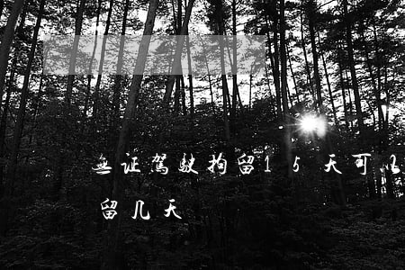 无证驾驶拘留15天可以不去吗(无证驾驶拘留几天)