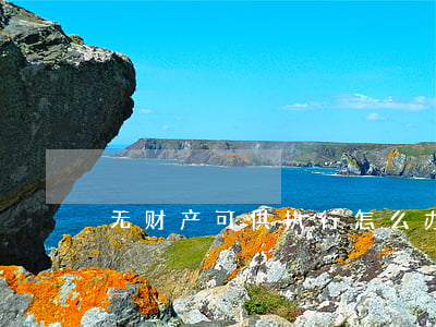无财产可供执行怎么办