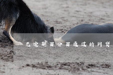 无逾期百分百通过的网贷(百分百过审的网贷)