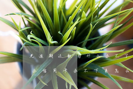 无逾期还款为什么办不了信用卡-有过逾期办信用卡办不下来怎么办