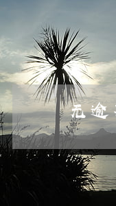 无逾期银行可贷款吗(逾期无法贷款)