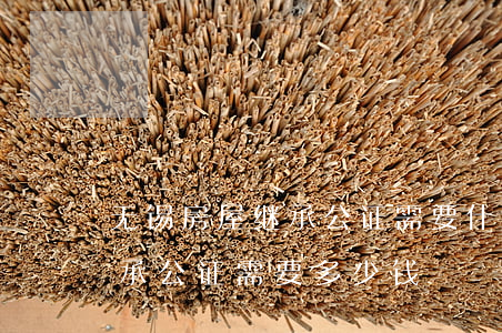 无锡房屋继承公证需要什么手续(办理房屋继承公证需要多少钱)