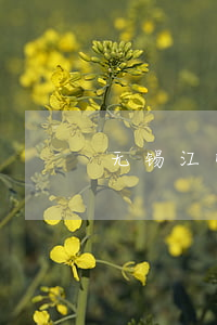 无锡江顺律师(无锡市锡山区律师事务所)