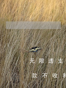 无限透支信用卡还款期限(透支卡多长时间还款不收利息)