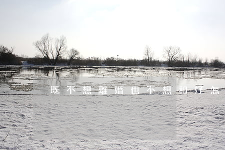 既不想離婚也不想和好怎么辦