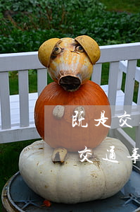 既是交通事故又是工傷怎么賠償(工傷傷殘和交通事故傷殘賠償一樣嗎)