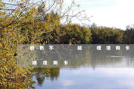 既有不還還能辦理信用卡嗎(既有不還還能辦理信用卡嗎)