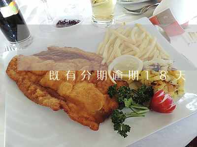 既有分期逾期18天還款(既有分期逾期四年)