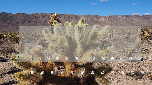 既有分期逾期3年是否已過訴訟期-既有分期逾期3年是否已過訴訟期限