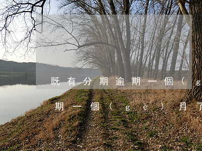 既有分期逾期一個(gè)月了(既有分期逾期一個(gè)月了怎么辦)