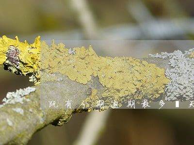既有分期逾期最多幾天(既有分期逾期三年)