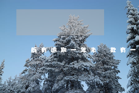 既有逾期一年未還款(有一次逾期未還怎么辦)