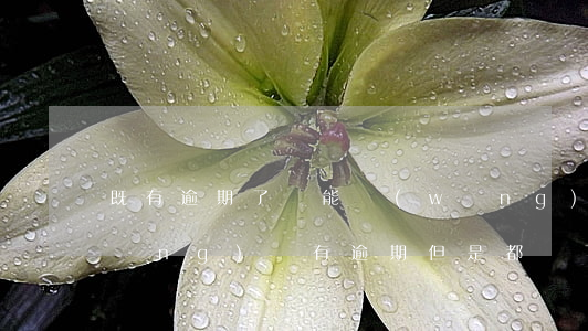 既有逾期了還能網(wǎng)貸嗎(網(wǎng)貸有逾期但是都還了有沒(méi)有影響)