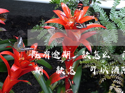 既有逾期還款怎么還清(曾經(jīng)逾期還款怎樣可以消除)