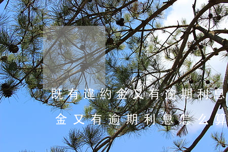 既有違約金又有逾期利息怎么算-既有違約金又有逾期利息怎么算的
