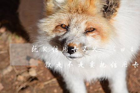 既欠信用卡又欠網(wǎng)貸先還哪個(貸款是不是要把信用卡網(wǎng)貸還清嗎)
