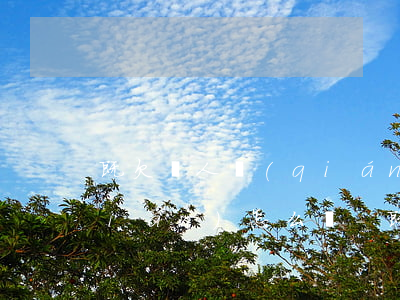 既欠別人錢(qián)又欠信用卡錢(qián)怎么辦-既欠別人錢(qián)又欠信用卡錢(qián)怎么辦啊