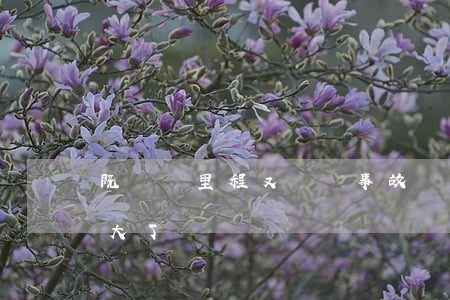 既虛報里程又隱瞞事故，這家二手車商因此虧大了