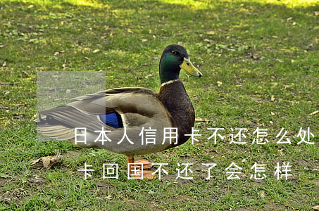 日本人信用卡不还怎么处理(在日本透支信用卡回国不还了会怎样)