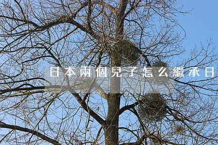 日本兩個兒子怎么繼承(日本的長子繼承制)