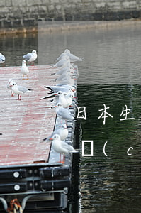 日本生命公司破產(chǎn)(日本公司破產(chǎn)后果很嚴重嗎)