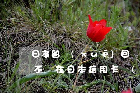日本留學(xué)回來(lái)信用卡不還(在日本信用卡沒(méi)還完回國(guó)了)