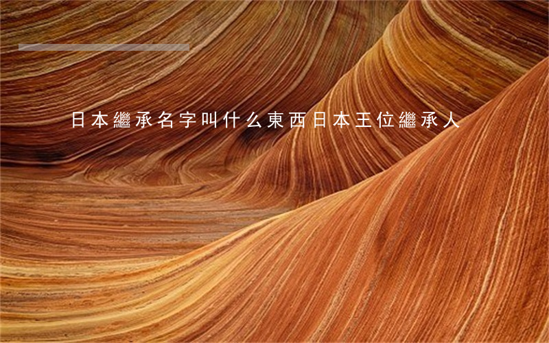 日本繼承名字叫什么東西(日本王位繼承人)