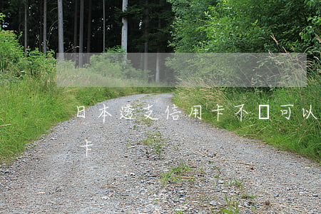 日本透支信用卡不還可以嗎(日本怎么還信用卡)