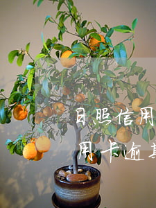 日照信用卡逾期怎么申請停息掛賬-日照信用卡逾期怎么申請停息掛賬的