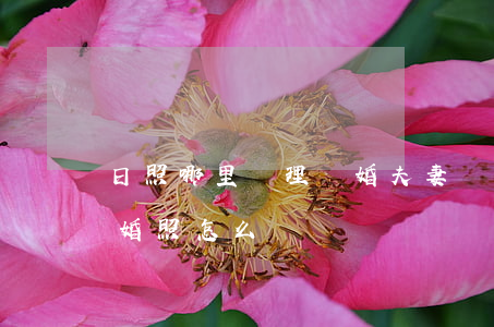 日照哪里辦理離婚(夫妻離婚了結(jié)婚照怎么辦)