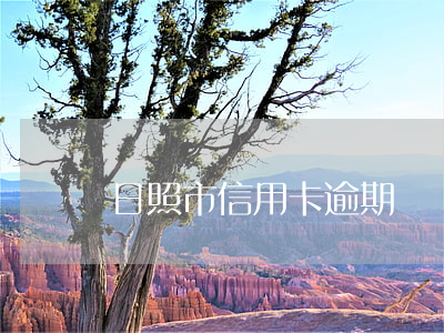 日照市信用卡逾期