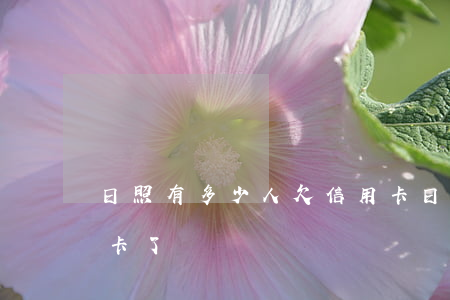 日照有多少人欠信用卡 日照有多少人欠信用卡了