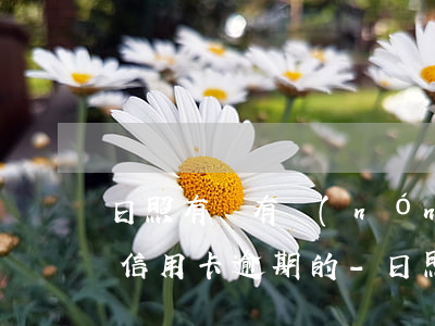 日照有沒有農(nóng)業(yè)銀行信用卡逾期的-日照有沒有農(nóng)業(yè)銀行信用卡逾期的人