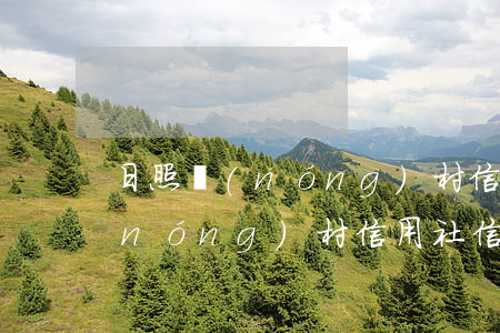 日照農(nóng)村信用社逾期一天(農(nóng)村信用社信用卡逾期兩天)
