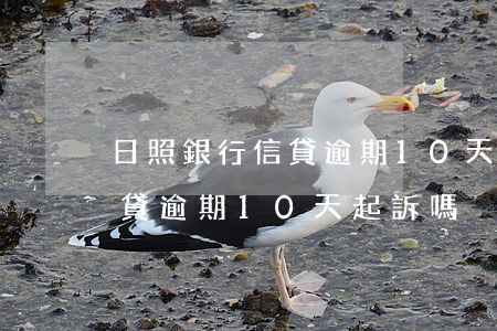 日照銀行信貸逾期10天起訴嗎（日照銀行信貸逾期10天起訴嗎）