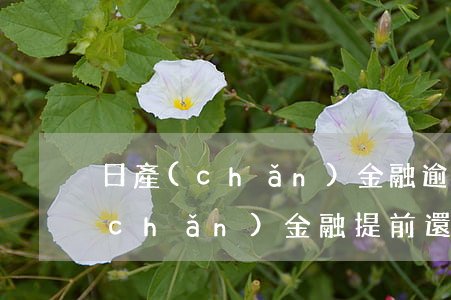 日產(chǎn)金融逾期如何還款(日產(chǎn)金融提前還款)