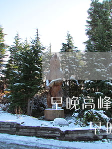 早晚高峰違規(guī)罰款逾期不交會怎樣-早晚高峰違章可以不處理嗎