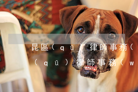 昆區(qū)律師事務(wù)所地址(昆區(qū)律師事務(wù)所友誼大街白云路附近)