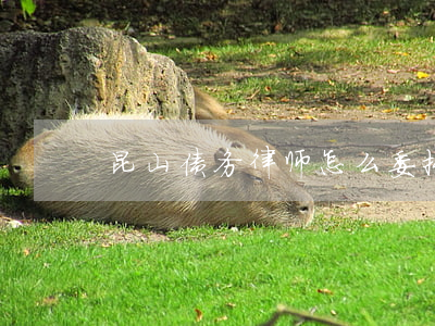 昆山债务律师怎么委托(昆山合同律师)