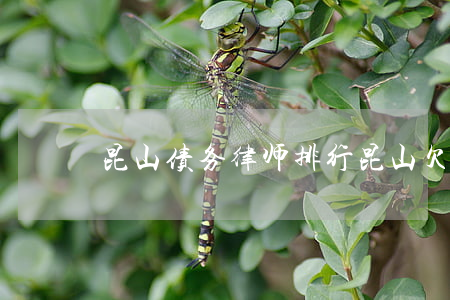 昆山债务律师排行(昆山欠款律师)