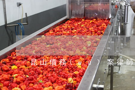 昆山債務(wù)案律師價格
