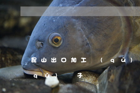 昆山出口加工區(qū)(昆山出口加工區(qū)電子廠)
