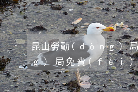 昆山勞動(dòng)局(昆山勞動(dòng)局免費(fèi)咨詢電話是多少)