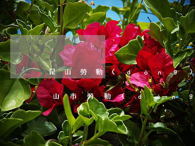昆山勞動(dòng)糾紛仲裁知名律師(昆山市勞動(dòng)仲裁官網(wǎng))
