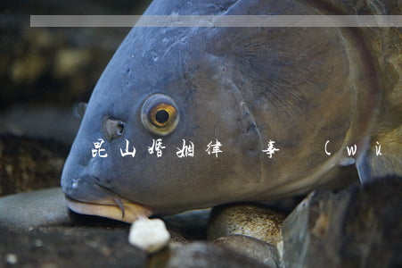 昆山婚姻律師事務(wù)所地址