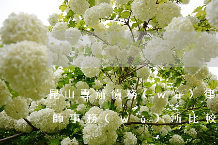 昆山專辦債務(wù)律師排名(昆山哪家律師事務(wù)所比較有名)