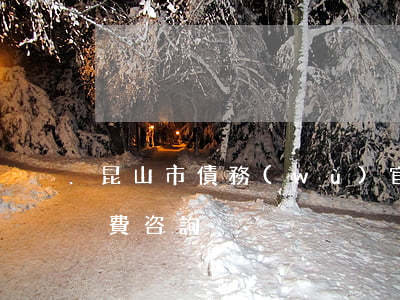 昆山市債務(wù)官司律師(昆山市律師免費咨詢)